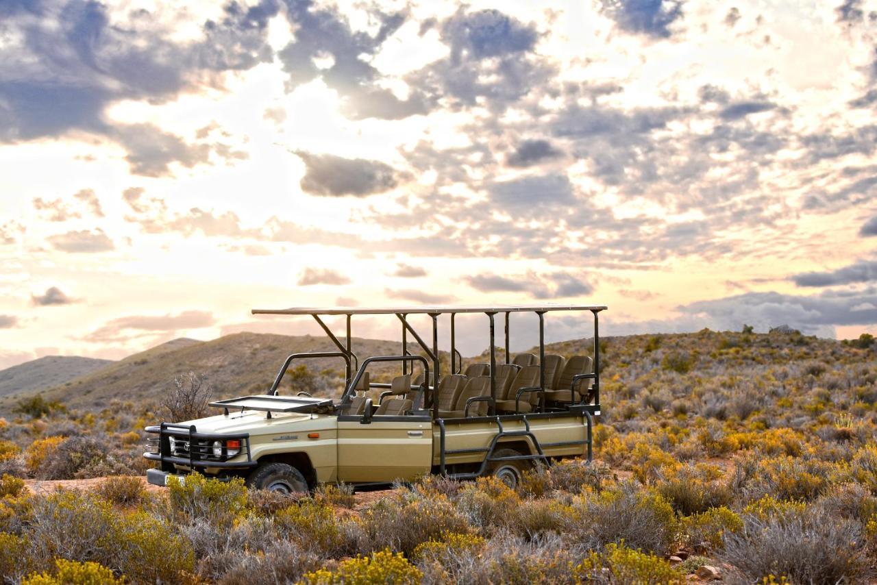 Mont Eco Game Reserve Montagu Εξωτερικό φωτογραφία
