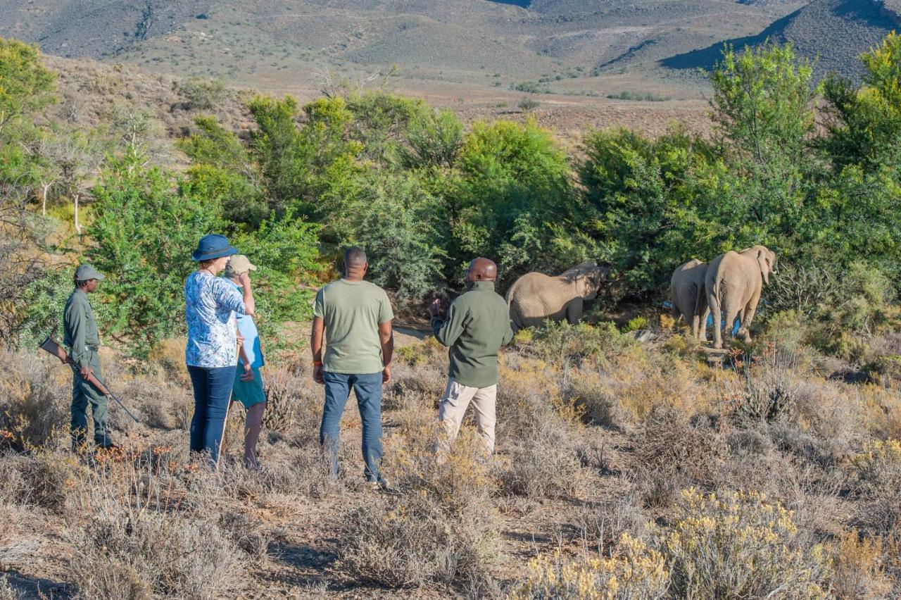 Mont Eco Game Reserve Montagu Εξωτερικό φωτογραφία