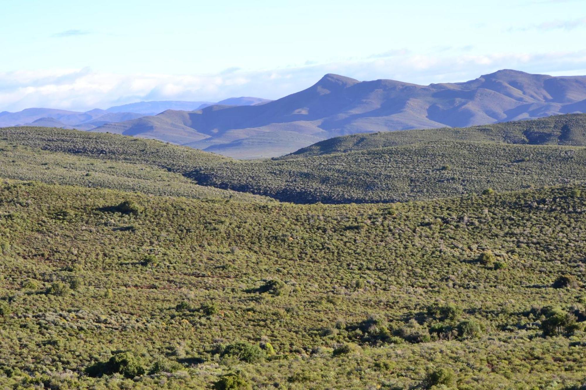 Mont Eco Game Reserve Montagu Εξωτερικό φωτογραφία